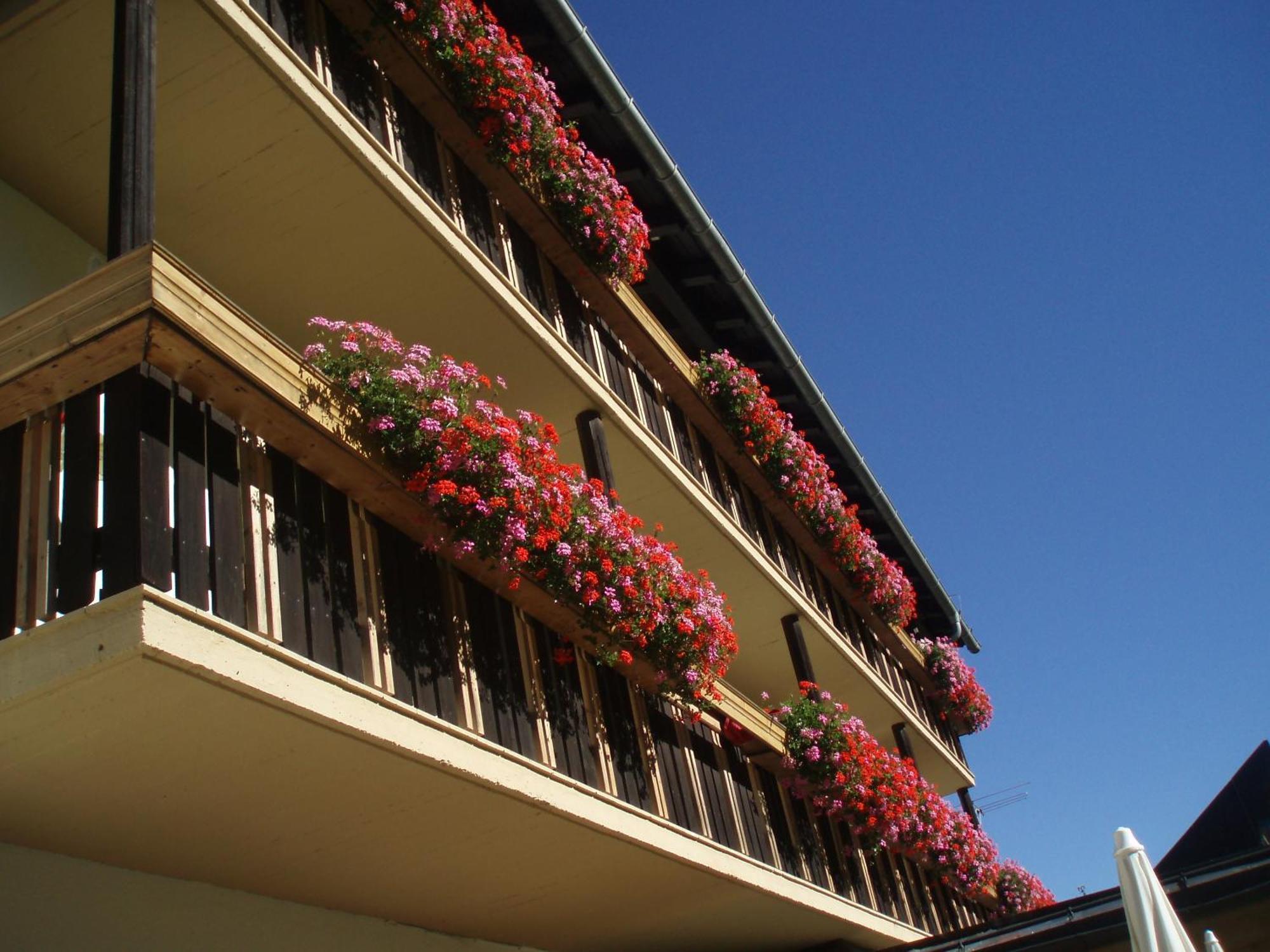 Laerchenhof Hotel Sankt Jakob in Defereggen Luaran gambar